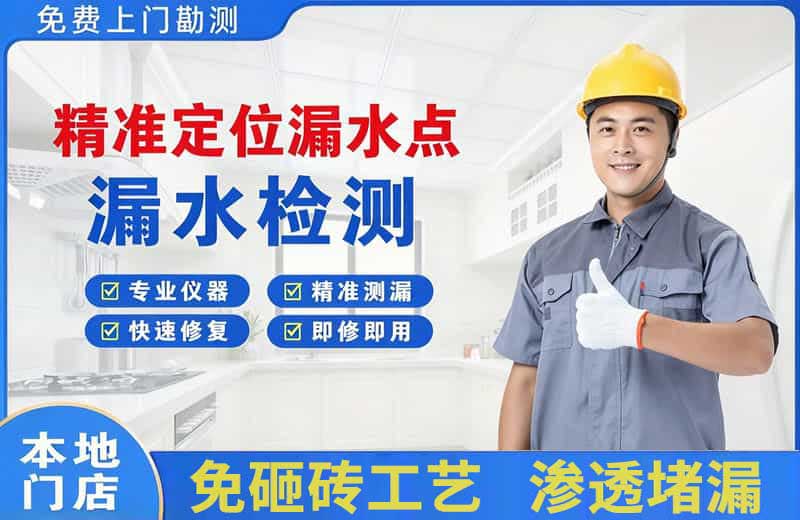 龙文精准测漏点